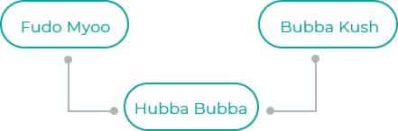 Hubba-Bubba