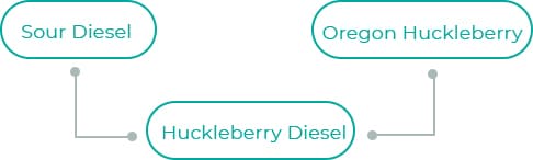 Hucklebberry-Diesel