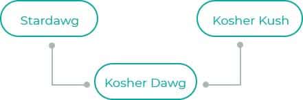 Kosher-Dawg