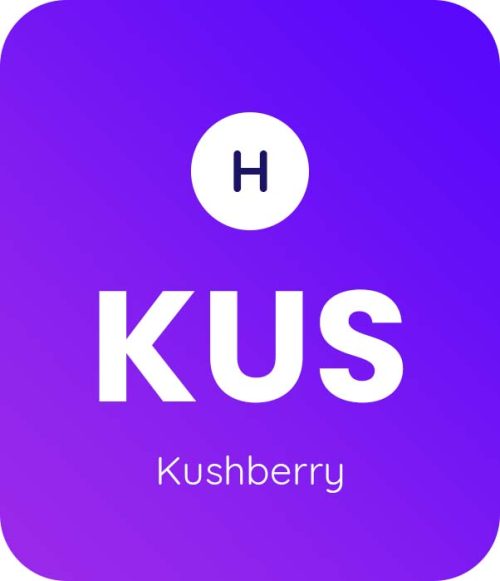 Kushberry-1