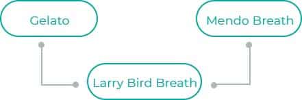 Larry-Bird-Breath