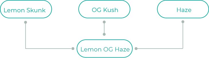 Lemon-OG-Haze