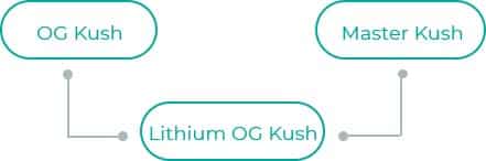 Lithium-OG-Kush