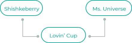 Lovin-Cup