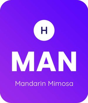 Mandarin-Mimosa-1