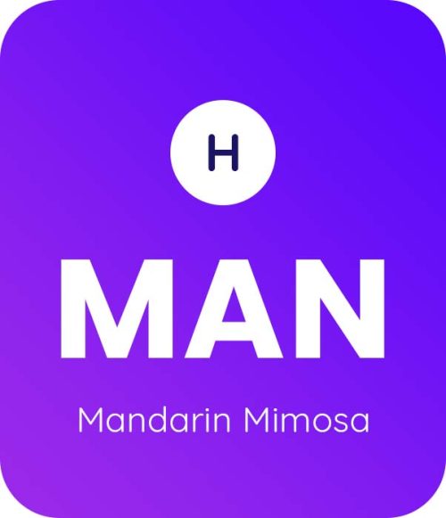 Mandarin-Mimosa-1