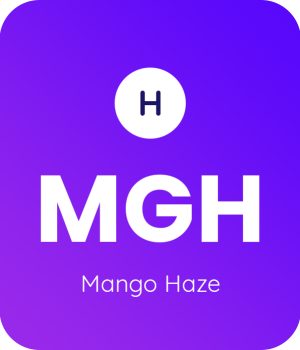 Mango-Haze-1