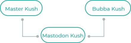 Mastodon-Kush