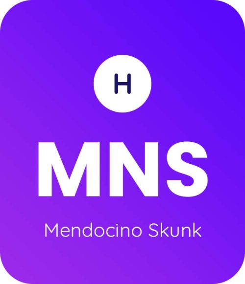 Mendocino-Skunk-1