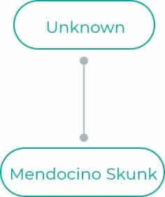 Mendocino-Skunk