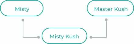 Misty-Kush
