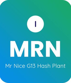 Mr-Nice-G13-Hash-Plant-1