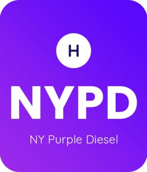 NY-Purple-Diesel-1