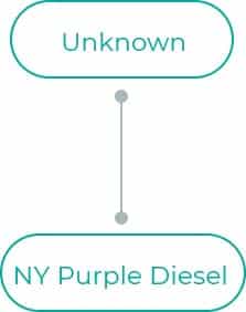 NY-Purple-Diesel