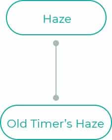 Old-Timers-Haze