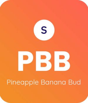Pineapple-Banana-Bud-1