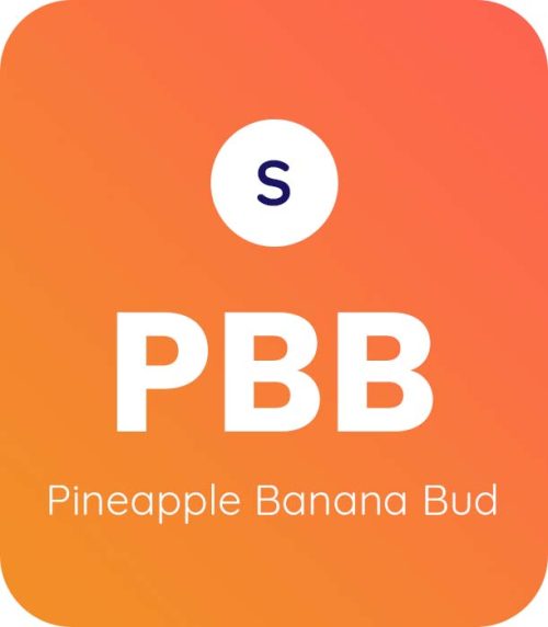 Pineapple Banana Bud