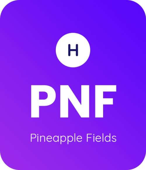 Pineapple-Fields-1
