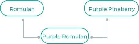 Purple-Romulan