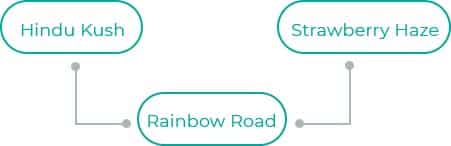 Rainbow-Road