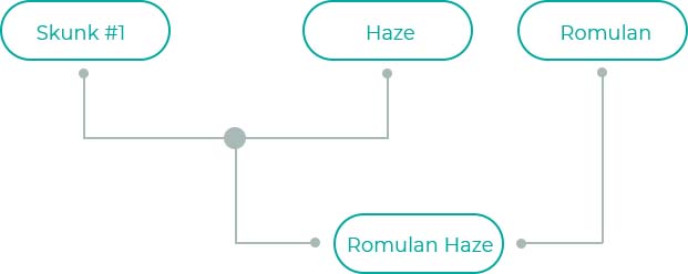 Romulan-Haze