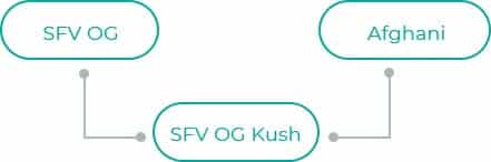 SFV-OG-Kush