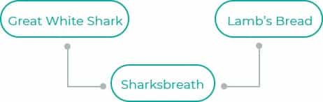 Sharksbreath