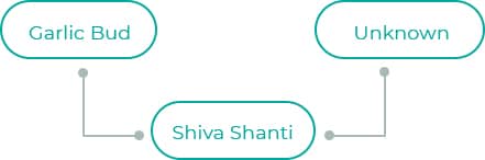 Shiva-Shanti