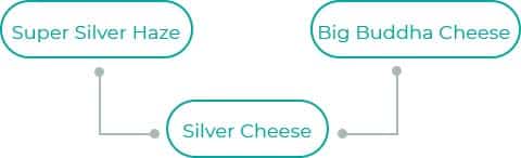 Silver-Cheese