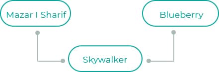 Skywalker-1