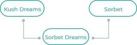 Sorbet-Dreams