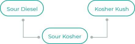 Sour-Kosher