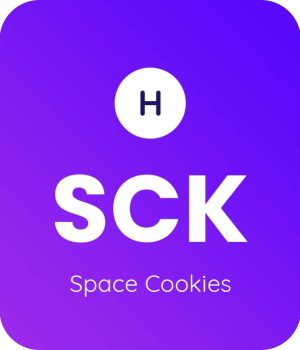 Space-Cookies-1