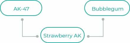 Strawberry-AK