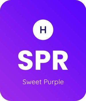 Sweet-Purple-1