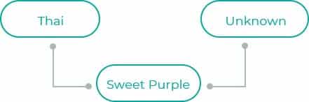 Sweet-Purple