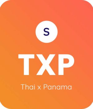 Thai-x-Panama-1