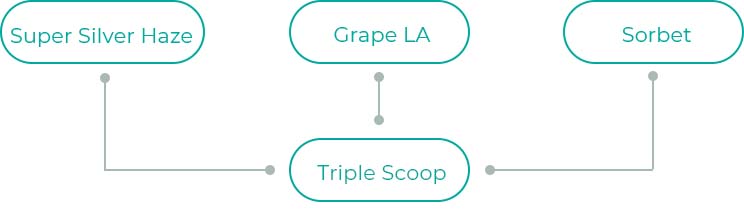 Triple-Scoop