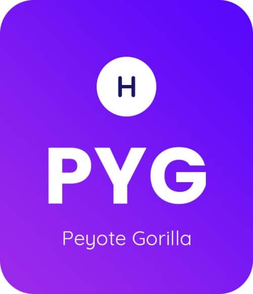 Peyote-Gorilla_