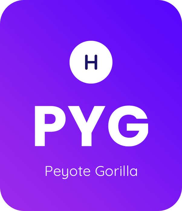 Peyote Gorilla