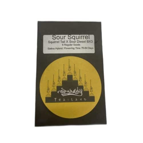 Sour-Squirrel-1