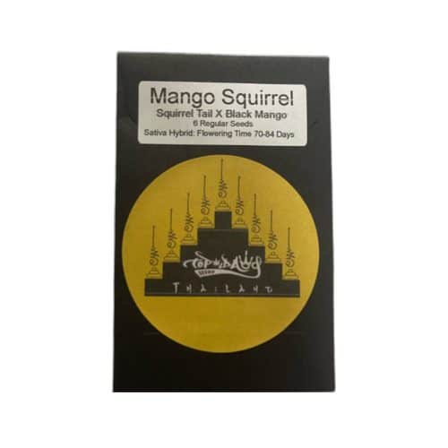 Mango-Squirrel-1