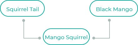 Mango-Squirrel