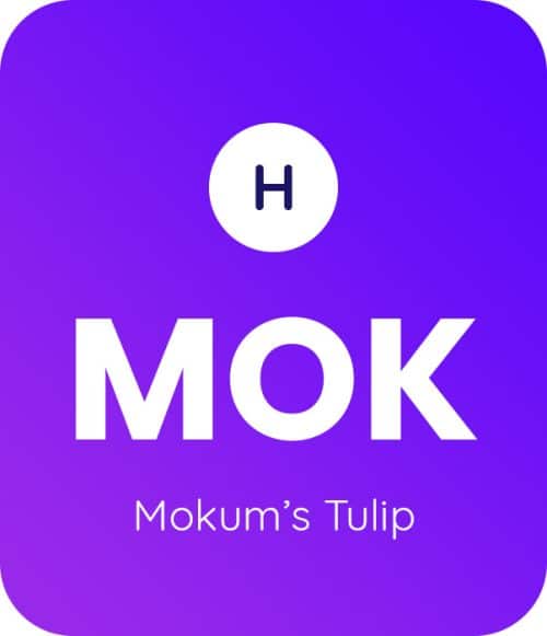 Mokum's Tulip