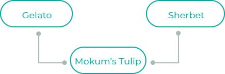 Mokums-Tulip