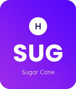 Sugar-Cane-1