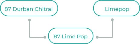 87-Lime-Pop