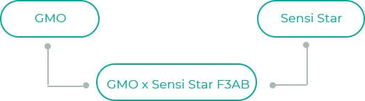 GMO-x-Sensi-Star-F3AB