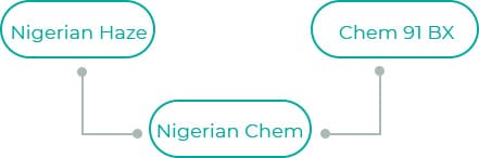 Nigerian-Chem