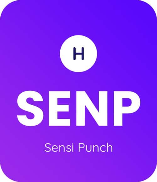 Sensi-Punch-1